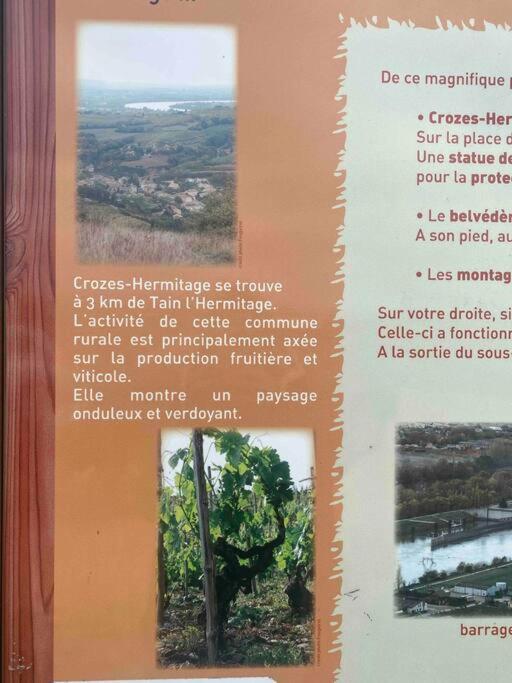 Appartement Pres Des Vignes à Crozes-Hermitage Extérieur photo